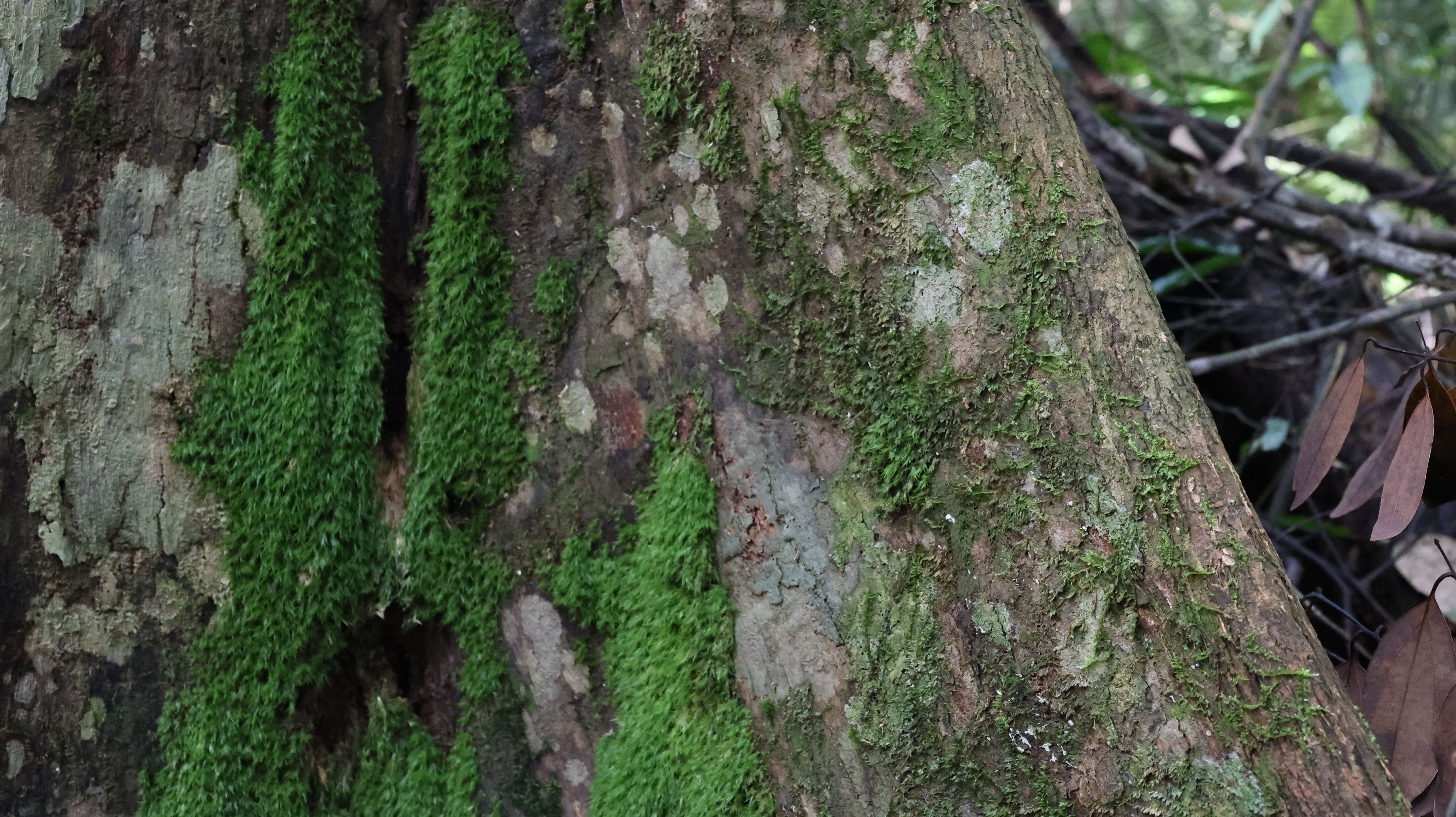 Wartono Kadri Photo 2